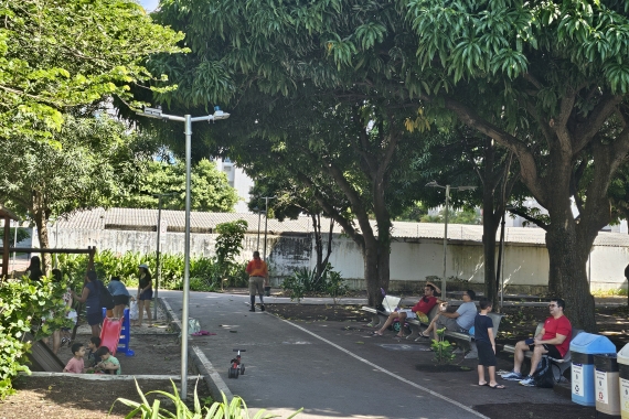Dia de Proteo s Florestas ser marcado por ao de educao ambiental no Bosque das Mangueiras