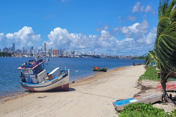 Entre a Terra e o Mar: as Mulheres, a Economia e o Ordenamento do