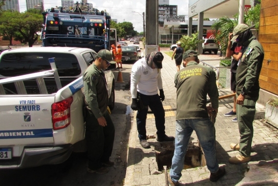 Servidor público municipal e andarilho são flagrados em luta